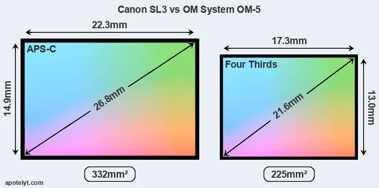 Canon SL3 and OM System OM-5 sensor measures