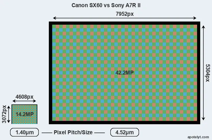 SX60 versus A7R II MP