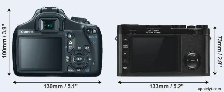 Comparison T3 or X Typ 113 rear