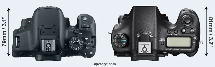 Compare T5i versus A77 II top