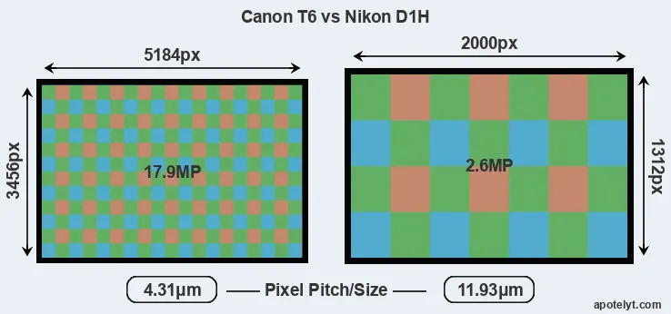 T6 versus D1H MP