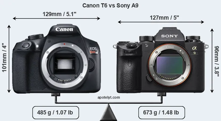 Size Canon T6 vs Sony A9