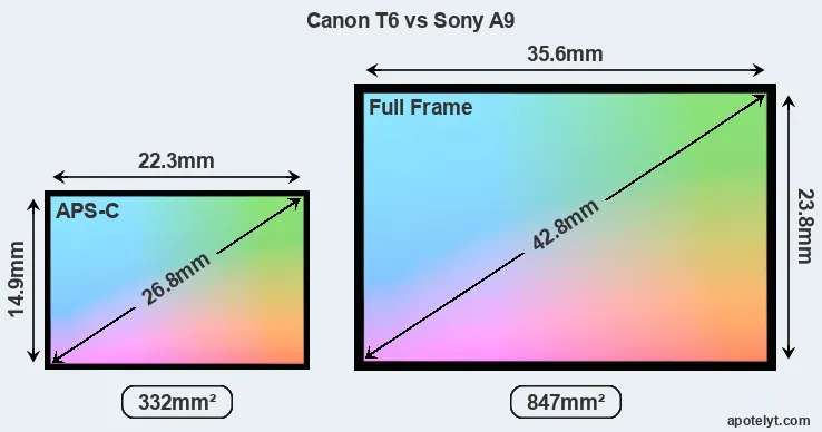 Canon T6 and Sony A9 sensor measures