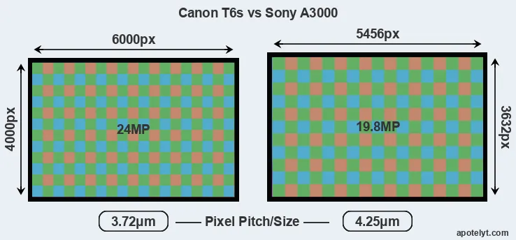 T6s versus A3000 MP