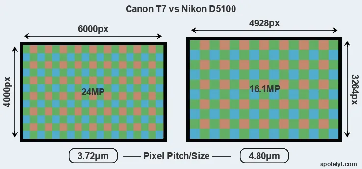 T7 versus D5100 MP
