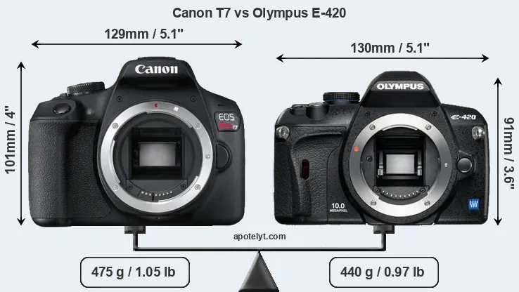 Size Canon T7 vs Olympus E-420