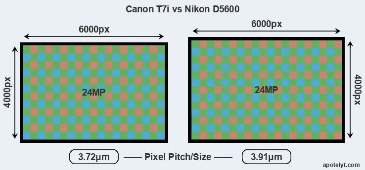 T7i versus D5600 MP