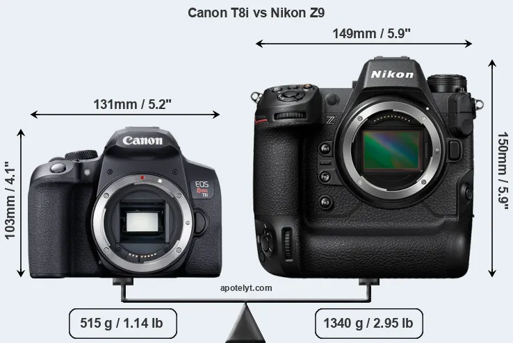 Size Canon T8i vs Nikon Z9