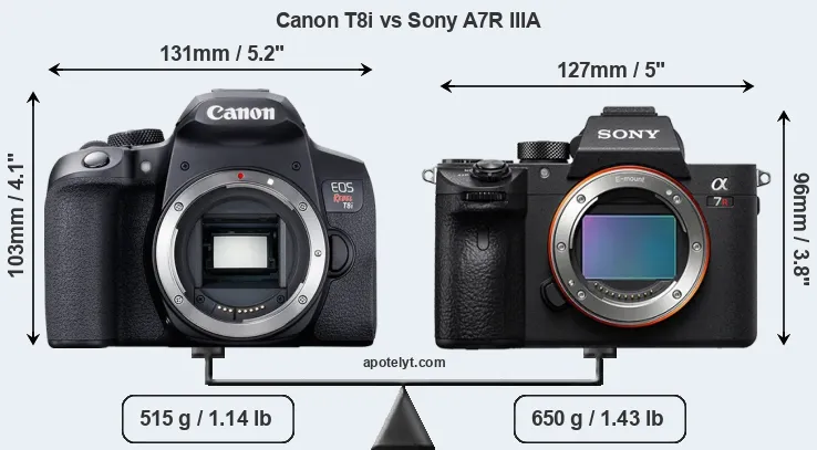 Size Canon T8i vs Sony A7R IIIA