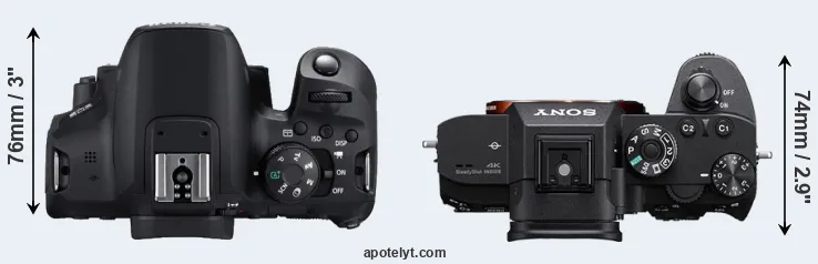 Compare T8i versus A7R IIIA top