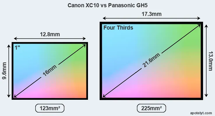 Canon XC10 and Panasonic GH5 sensor measures