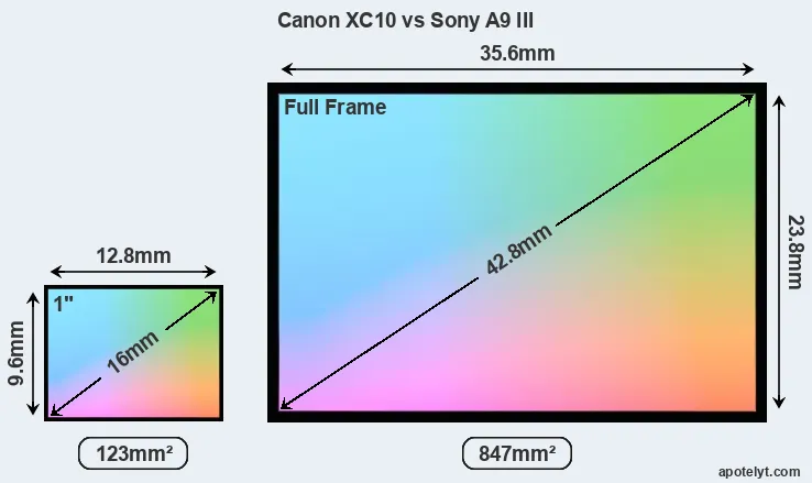 Canon XC10 and Sony A9 III sensor measures