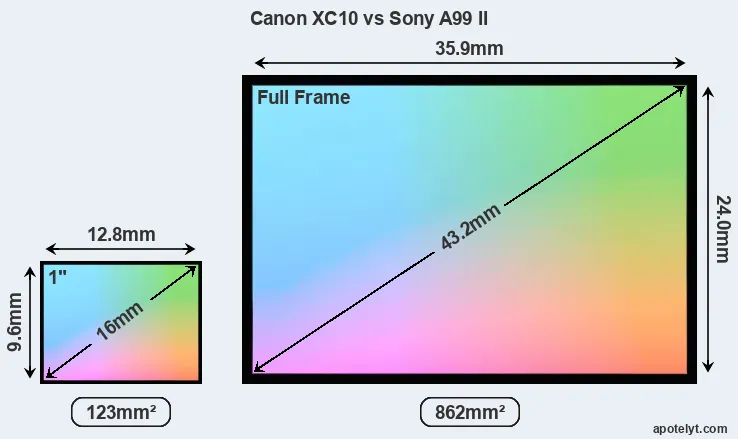 Canon XC10 and Sony A99 II sensor measures