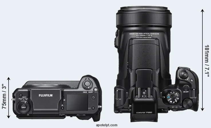 Compare GFX 100 versus P1000 top