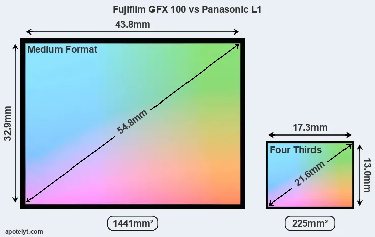 Fujifilm GFX 100 and Panasonic L1 sensor measures