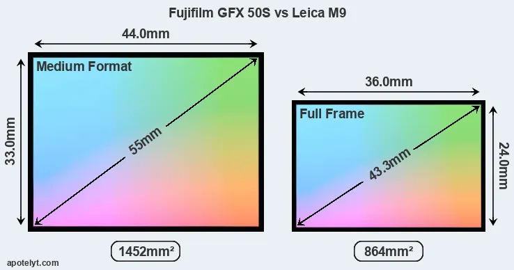 Fujifilm GFX 50S and Leica M9 sensor measures
