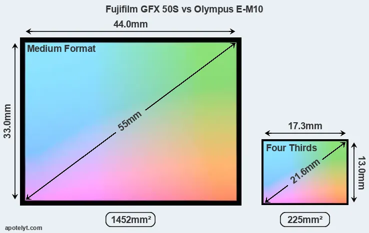 Fujifilm GFX 50S and Olympus E-M10 sensor measures