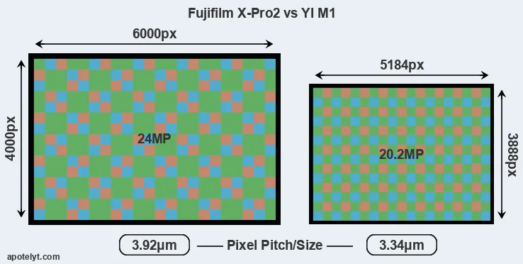 X-Pro2 versus M1 MP