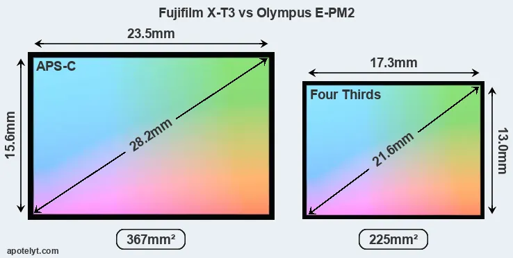 Fujifilm X-T3 and Olympus E-PM2 sensor measures