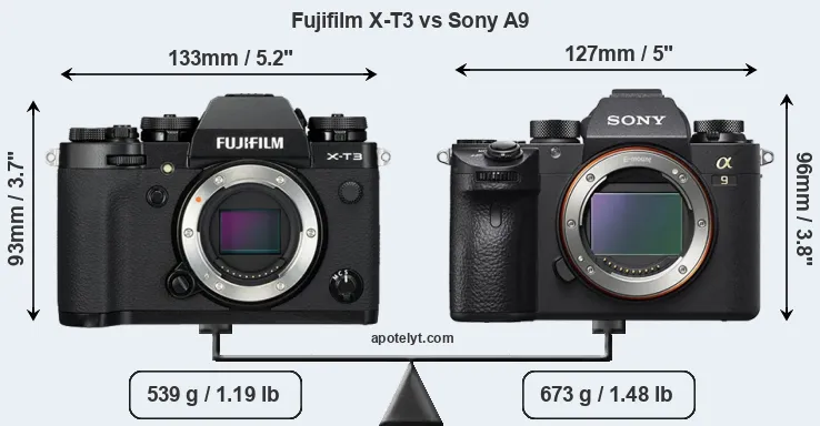 Size Fujifilm X-T3 vs Sony A9