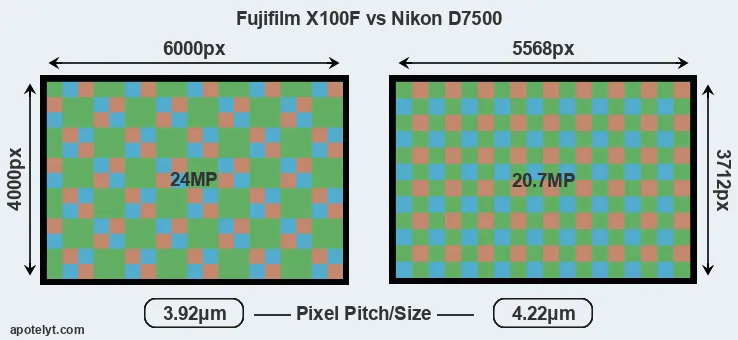 X100F versus D7500 MP
