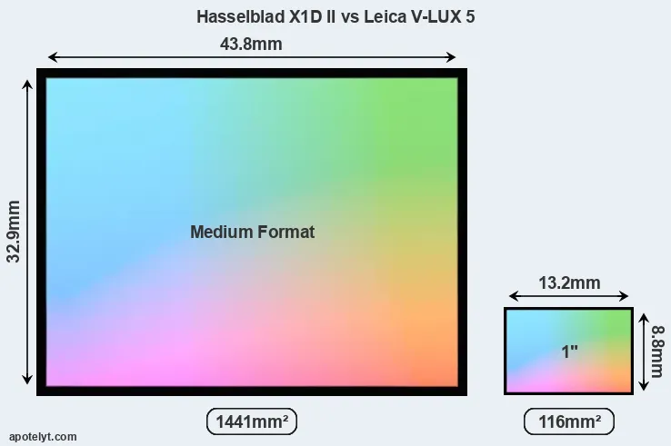 Hasselblad X1D II and Leica V-LUX 5 sensor measures