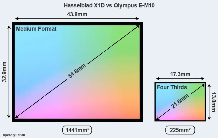 Hasselblad X1D and Olympus E-M10 sensor measures