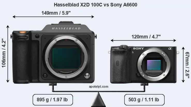 Size Hasselblad X2D 100C vs Sony A6600