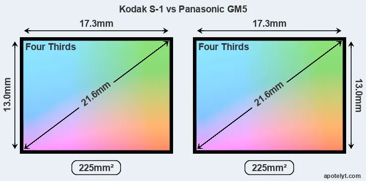 Kodak S-1 and Panasonic GM5 sensor measures