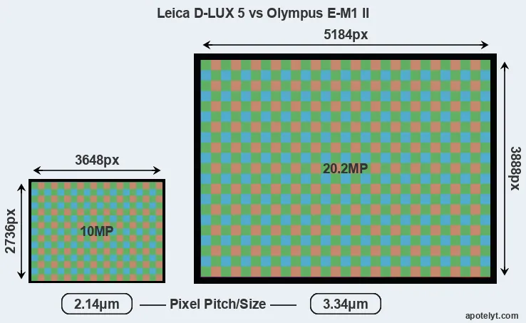 D-LUX 5 versus E-M1 II MP