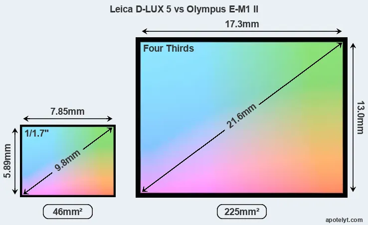 Leica D-LUX 5 and Olympus E-M1 II sensor measures