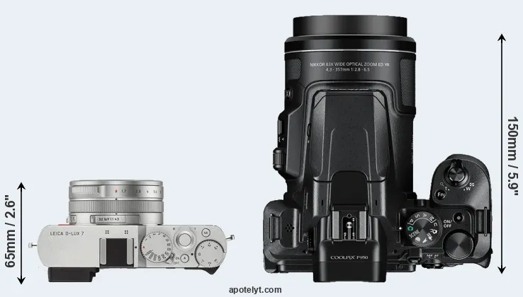 Compare D-LUX 7 versus P950 top