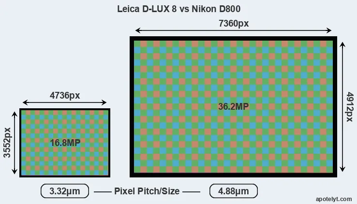 D-LUX 8 versus D800 MP