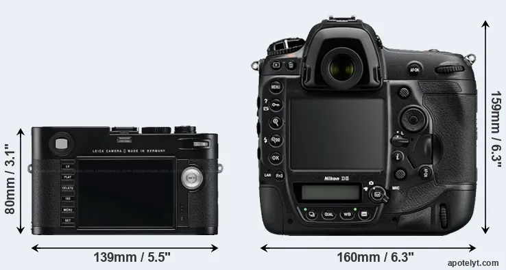 Comparison M Typ 240 or D5 rear