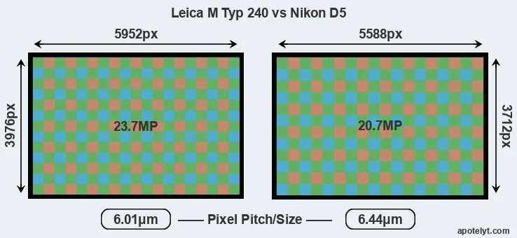 M Typ 240 versus D5 MP