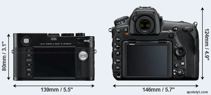 Comparison M Typ 240 or D850 rear