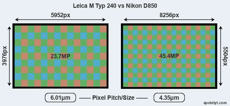M Typ 240 versus D850 MP