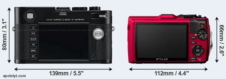 Comparison M Typ 240 or TG-4 rear