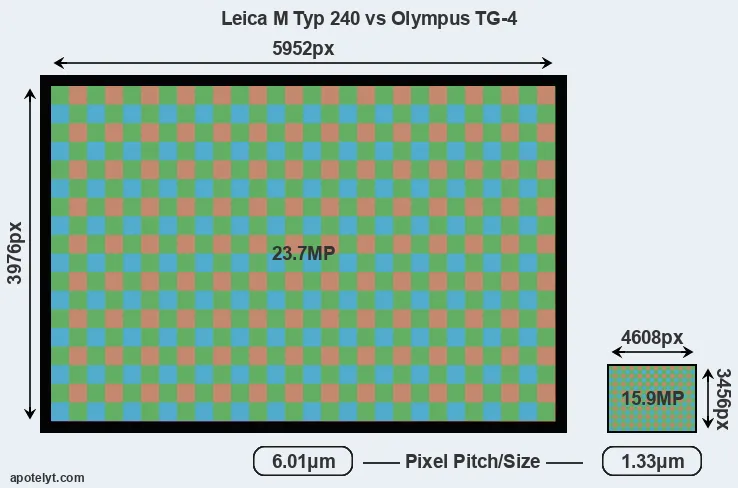 M Typ 240 versus TG-4 MP