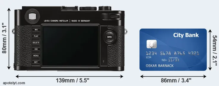 M Typ 262 and credit card rear side