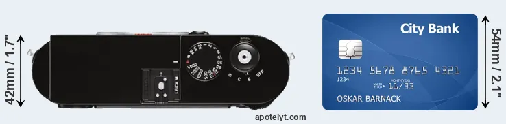 M Typ 262 versus credit card top view