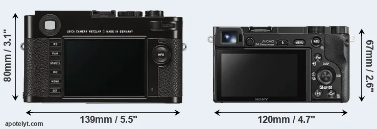 Comparison M Typ 262 or A6000 rear