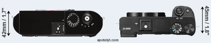 Compare M Typ 262 versus A6000 top