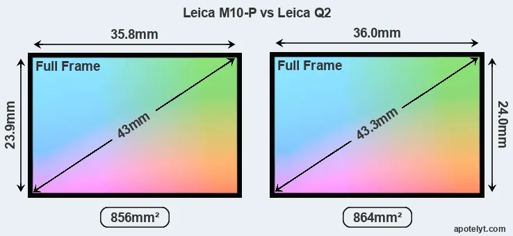 Leica M10-P and Leica Q2 sensor measures