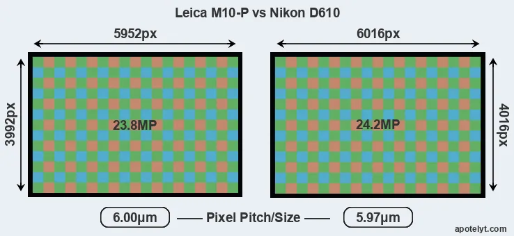 M10-P versus D610 MP
