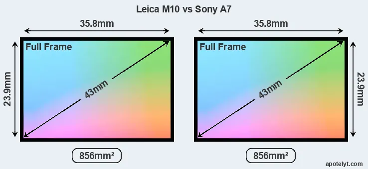 Leica M10 and Sony A7 sensor measures