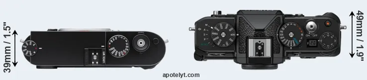 Compare M11 versus Zf top