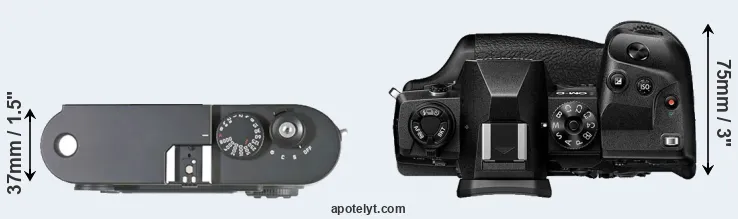 Compare M8 versus E-M1X top