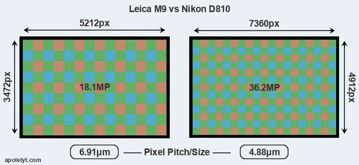 M9 versus D810 MP