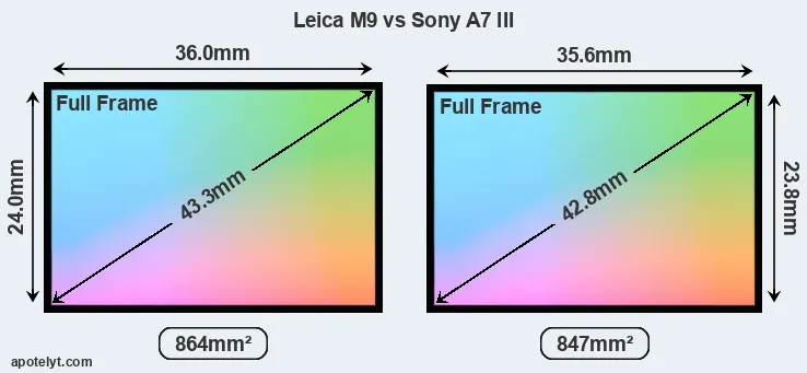 Leica M9 and Sony A7 III sensor measures